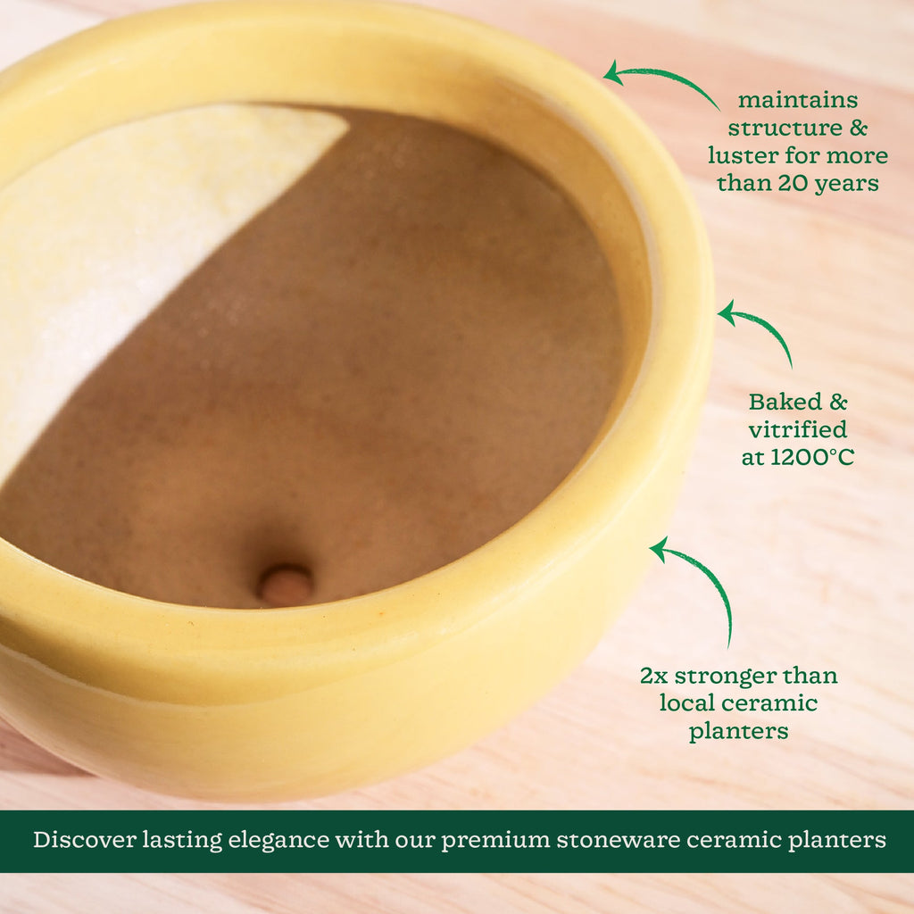 Nature's Hum Fat Ceramic Planter