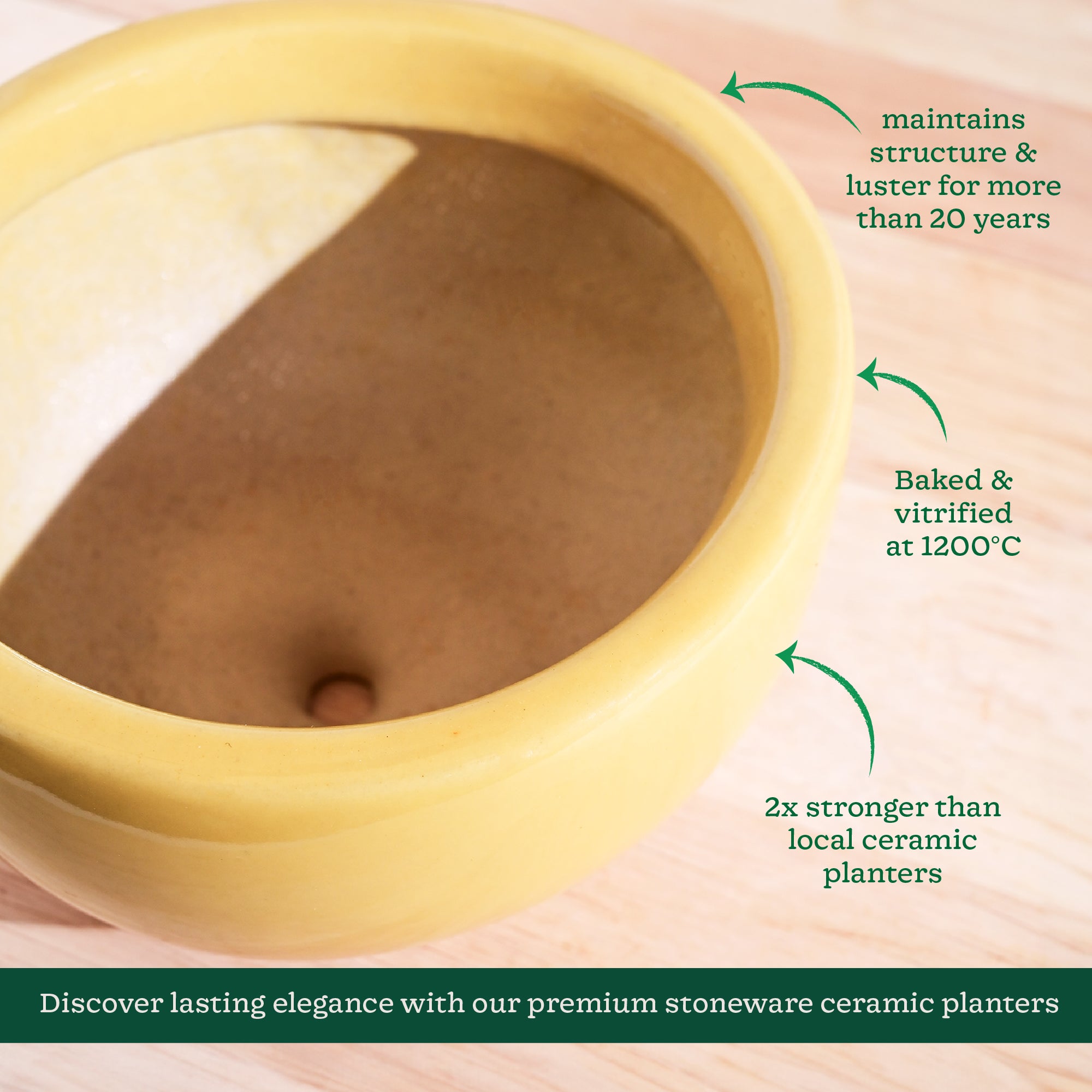 Nature's Hum Fat Ceramic Planter