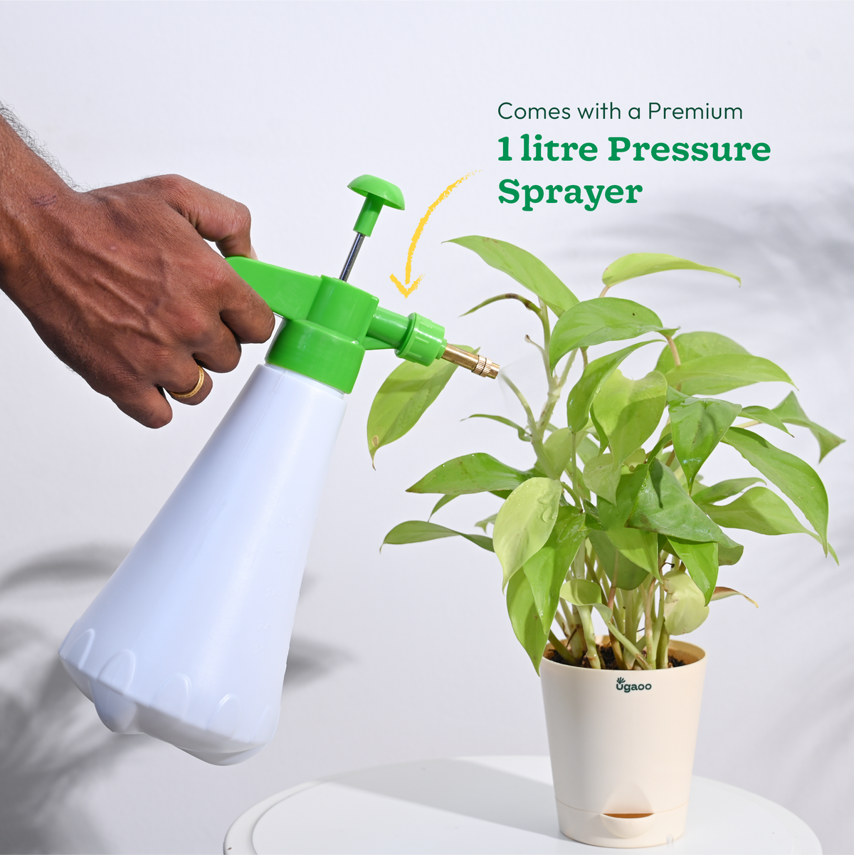 Indoor Gardening Kit