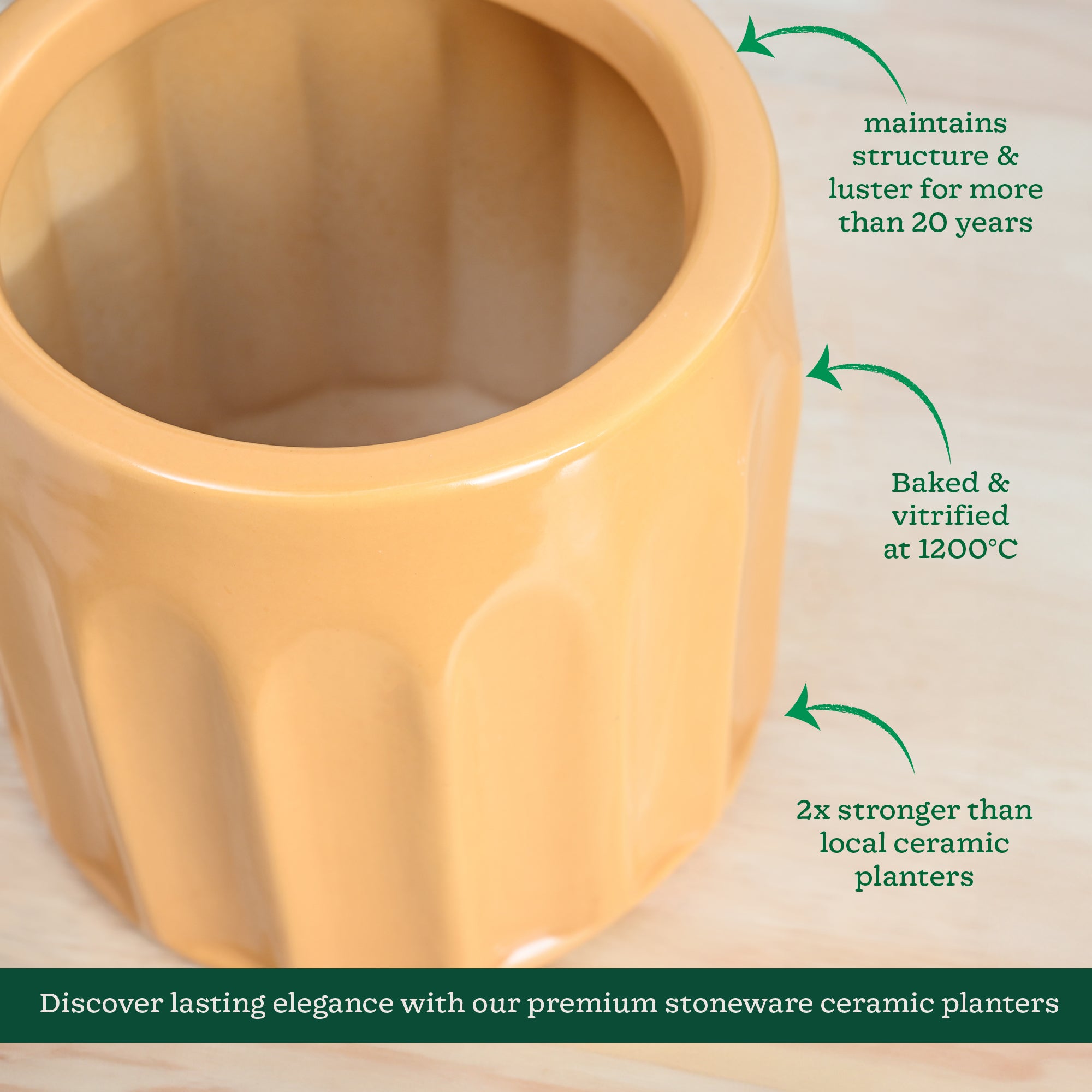 Blushing Sun Ceramic Planter