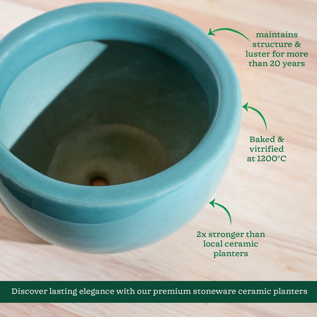 Nature's Hum Fat Ceramic Planter