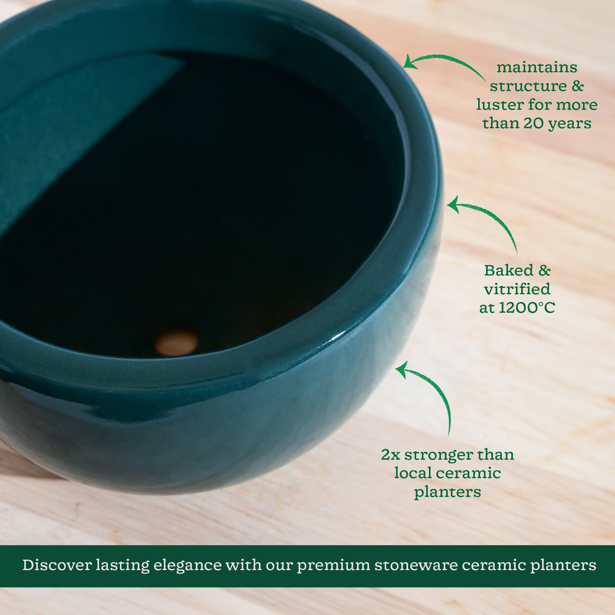 Nature's Hum Fat Ceramic Planter