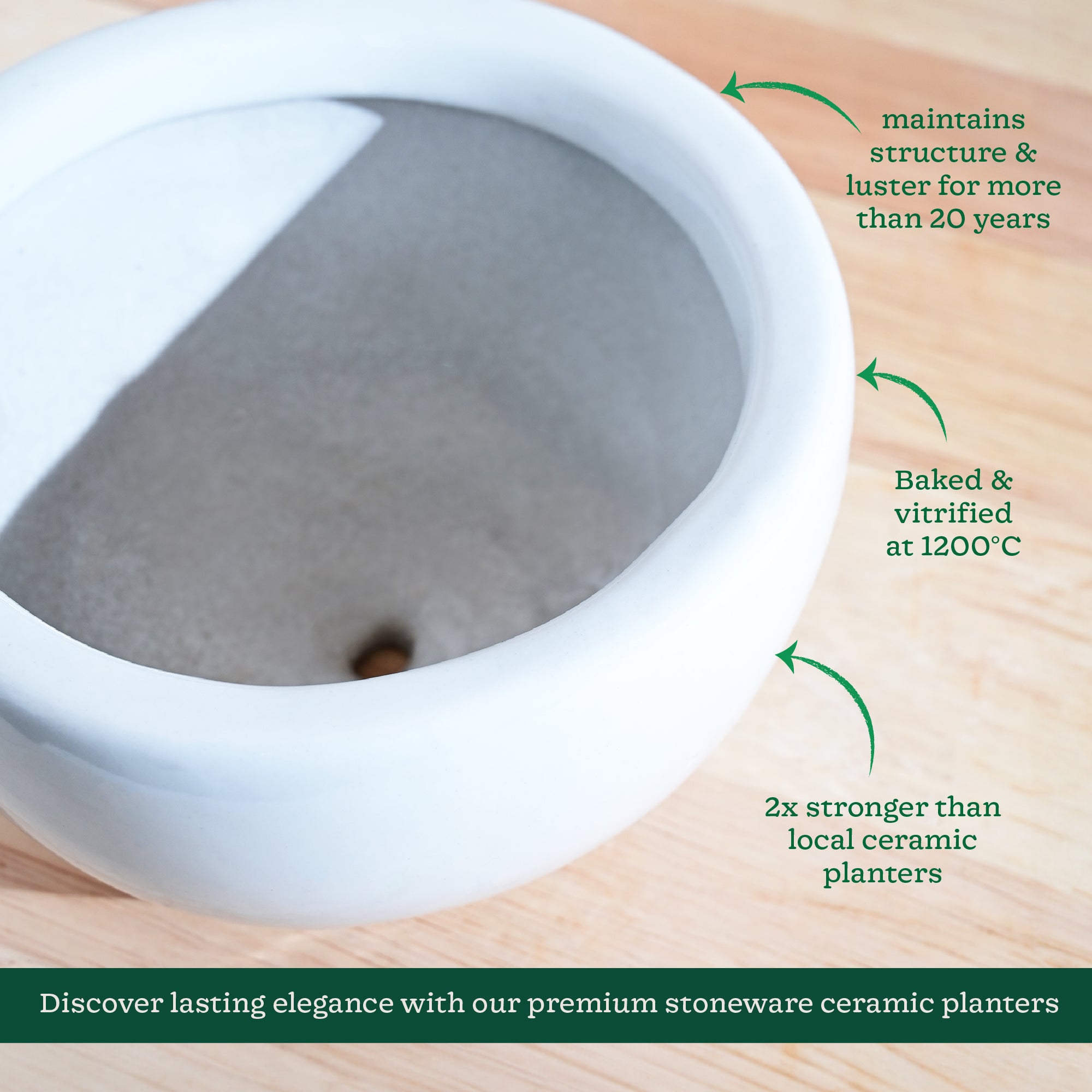 Nature's Hum Fat Ceramic Planter