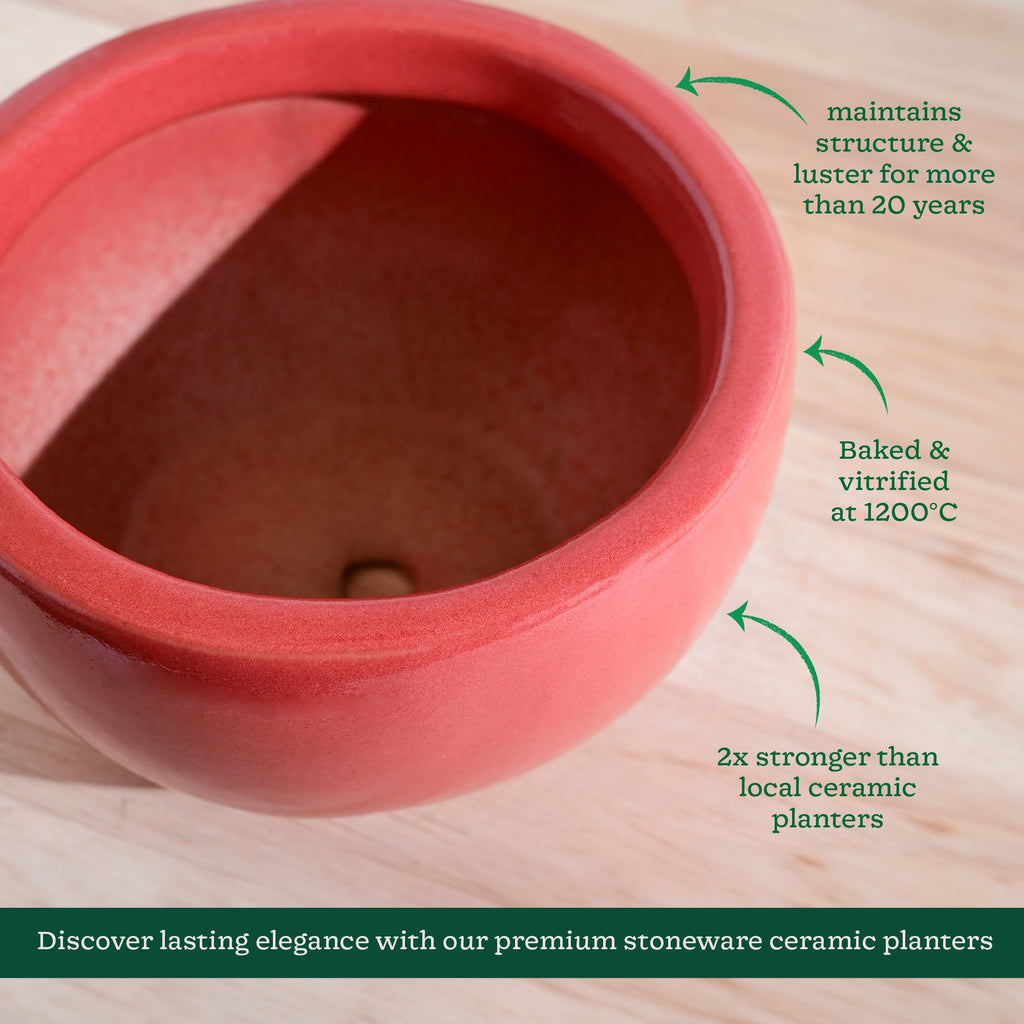 Nature's Hum Fat Ceramic Planter