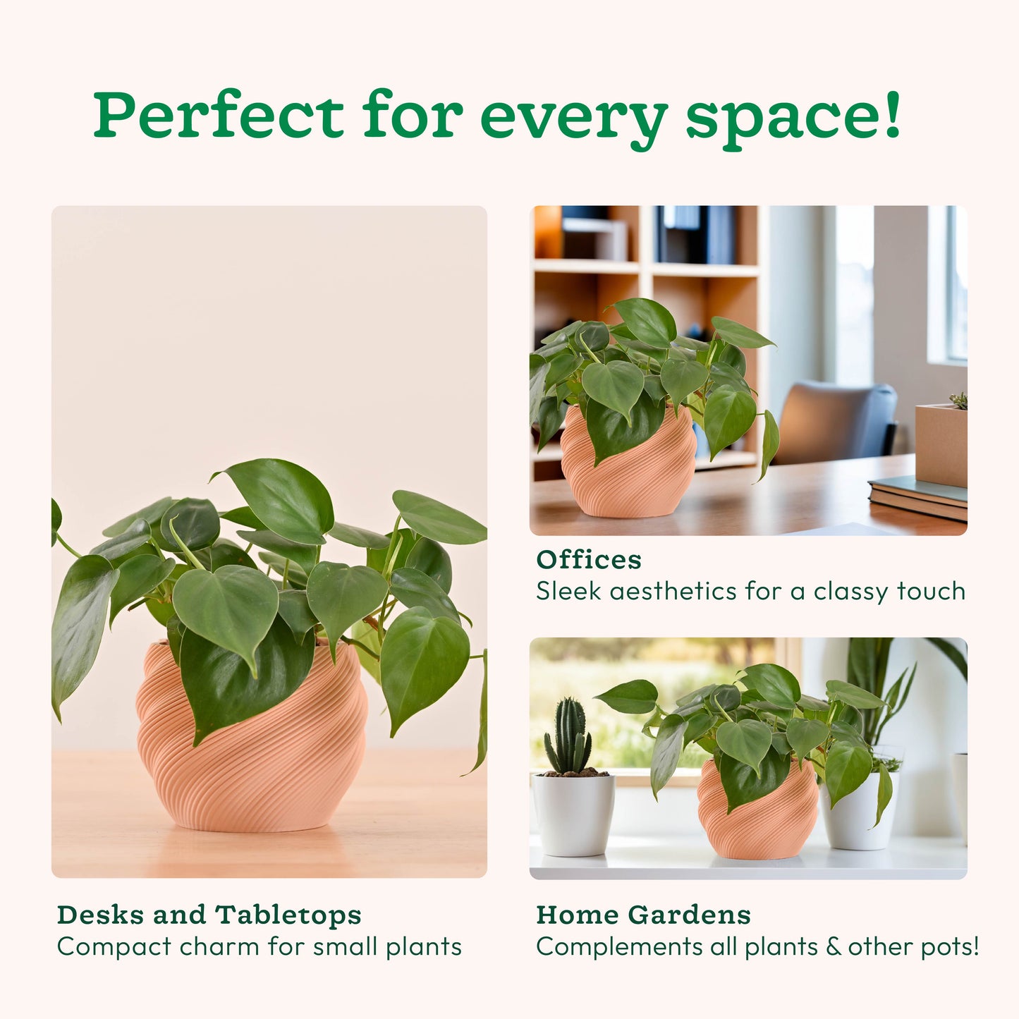 Imperia Planter
