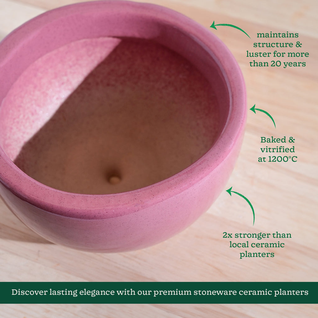 Nature's Hum Fat Ceramic Planter