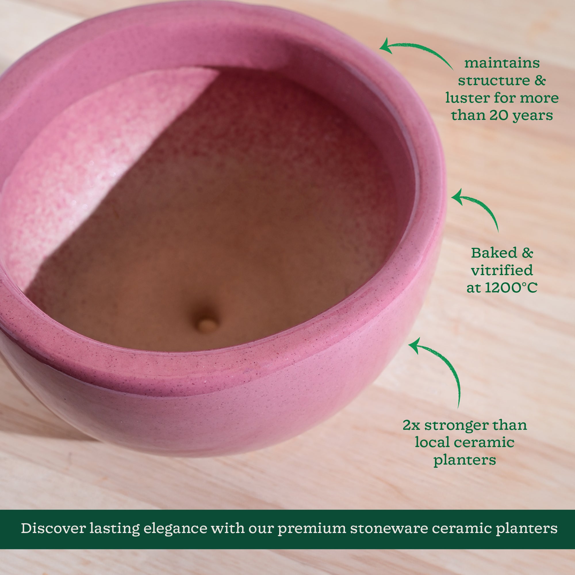 Nature's Hum Fat Ceramic Planter