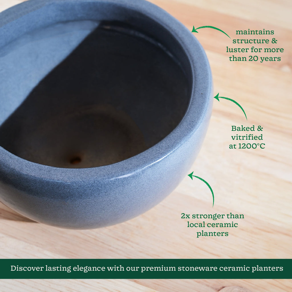 Nature's Hum Fat Ceramic Planter