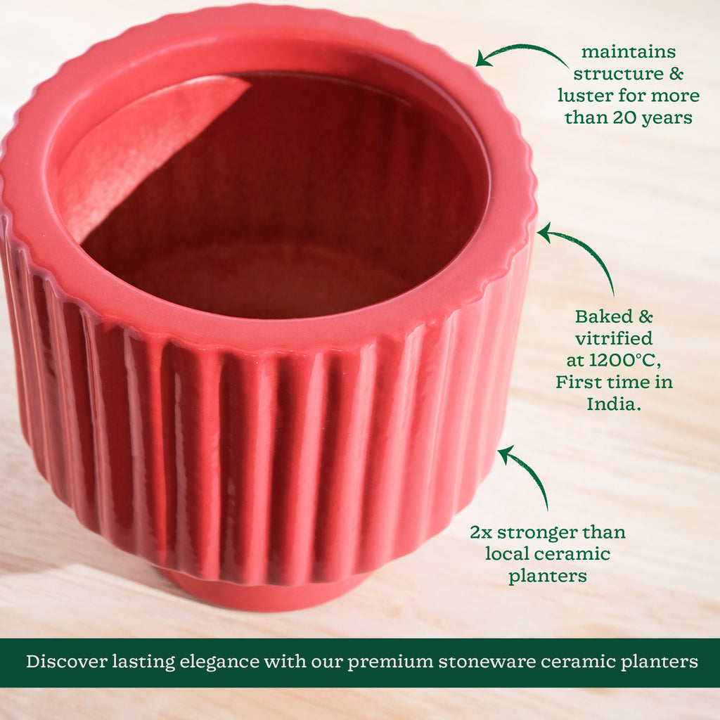 Forms of Love Ceramic Planter