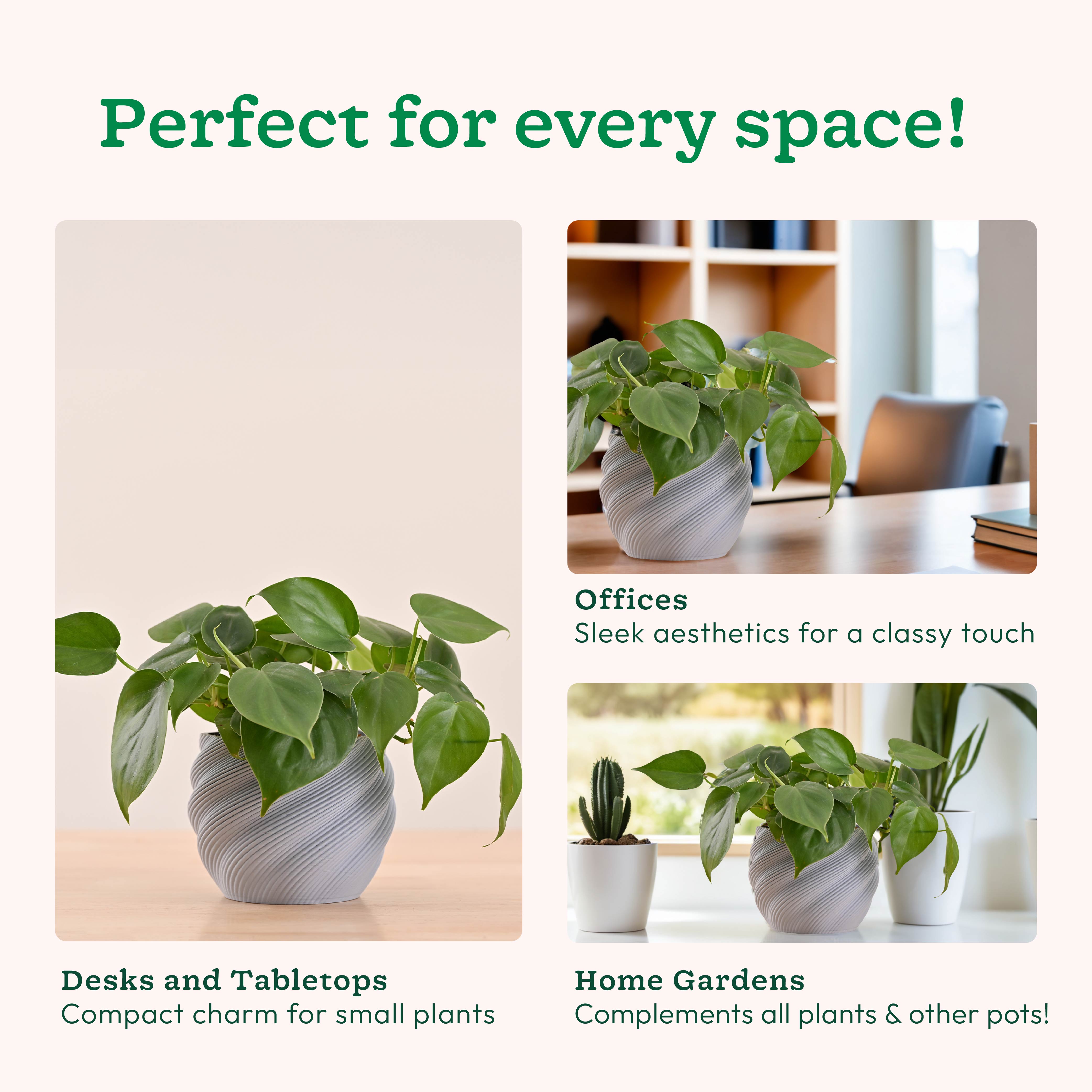 Imperia Planter