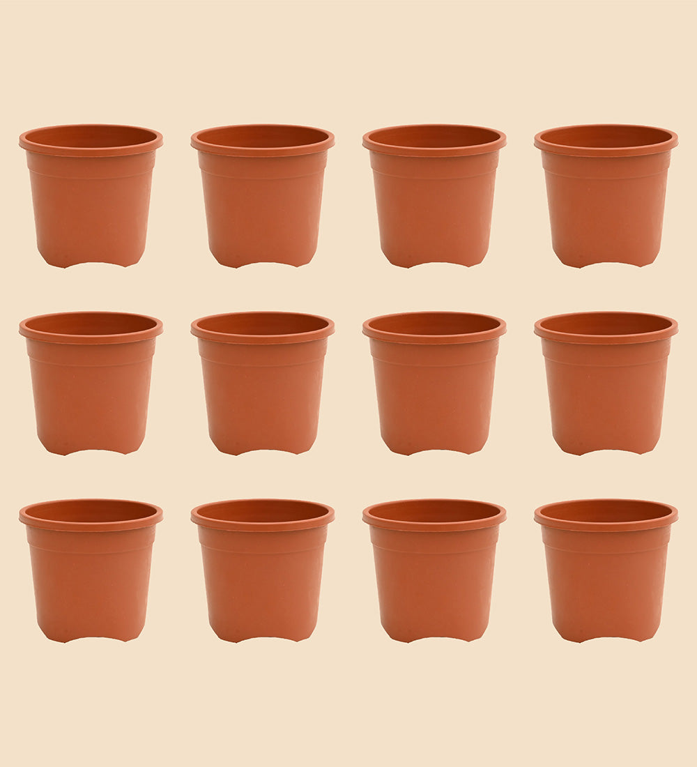 Gardening Pots - Terracotta Color