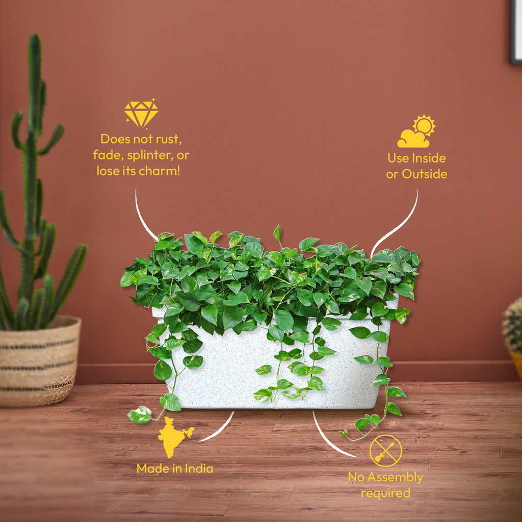 Barca Rectangle Planter