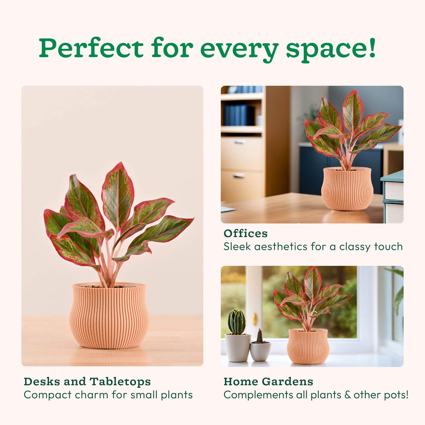 Crown Planter