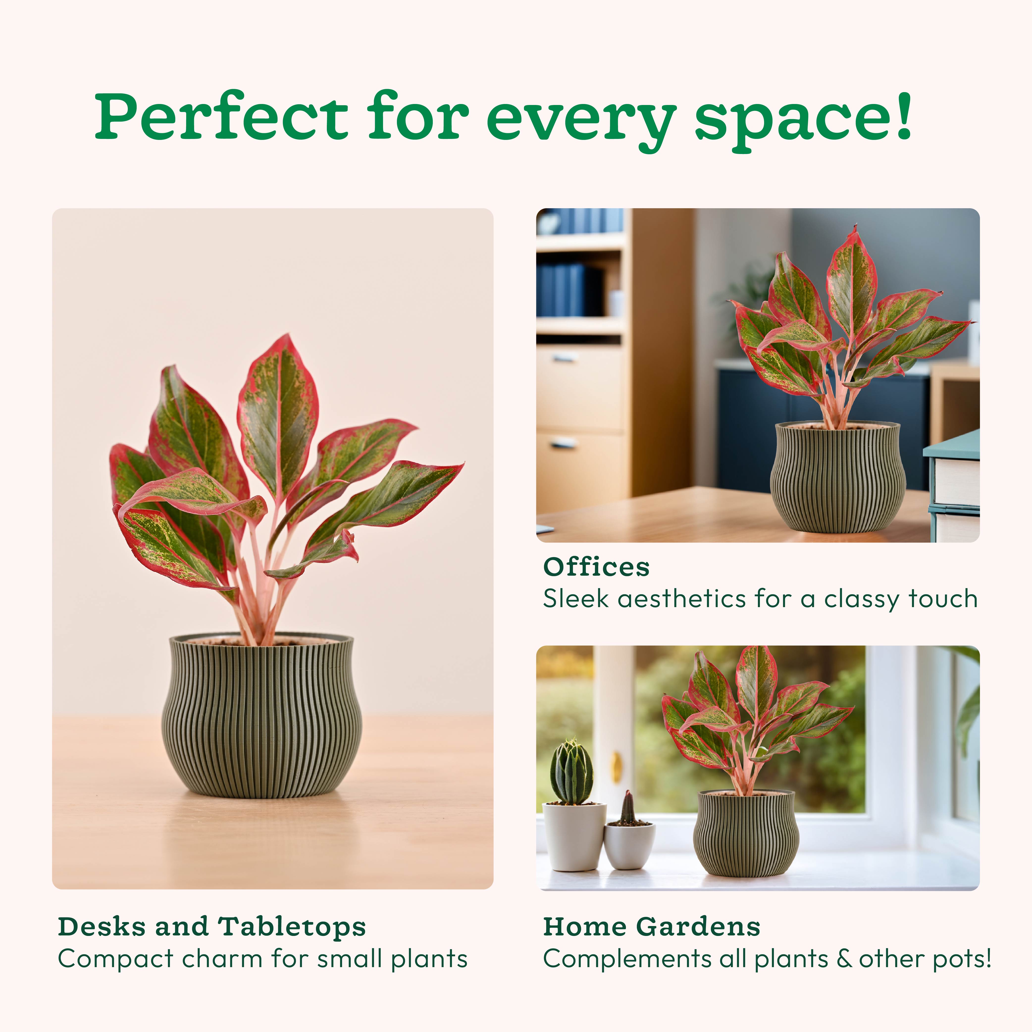 Crown Planter
