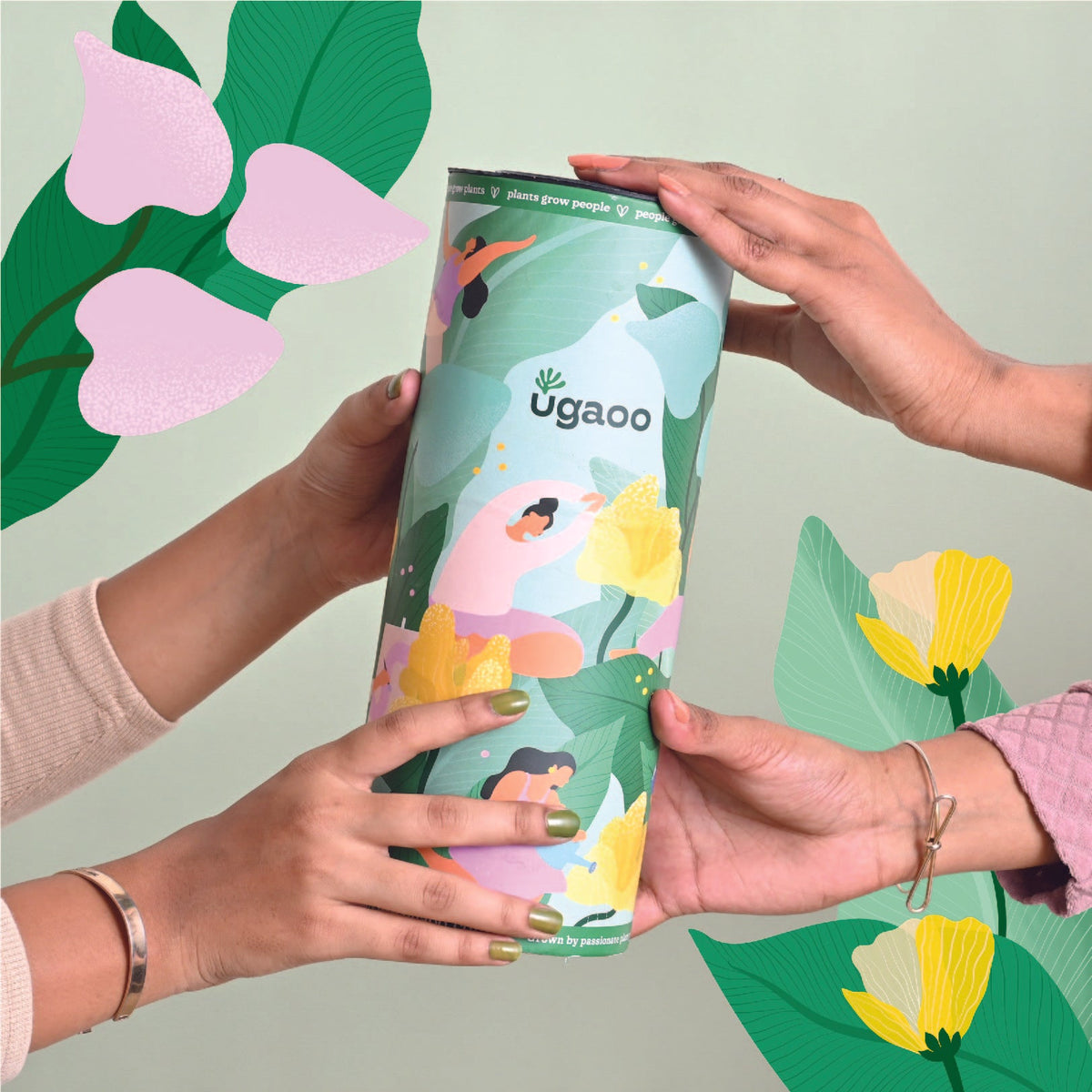 Blush & Bloom Women's Day Plant Bundle