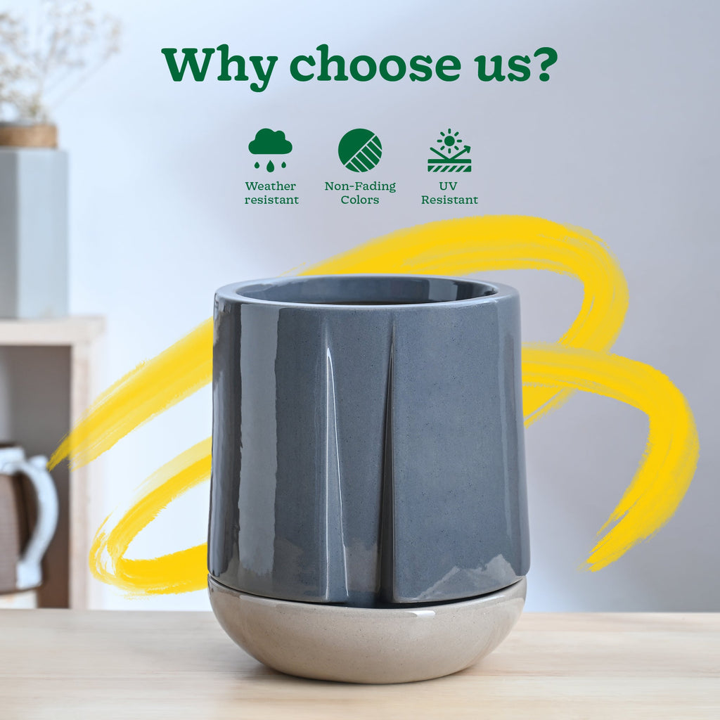 Moonlight Drama Ceramic Planter