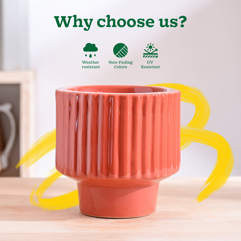 Forms of Love Ceramic Planter