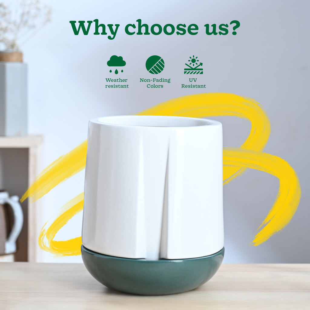 Moonlight Drama Ceramic Planter