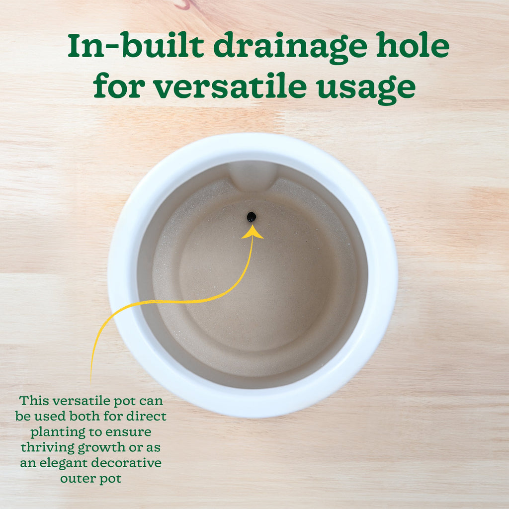 Moonlight Drama Ceramic Planter