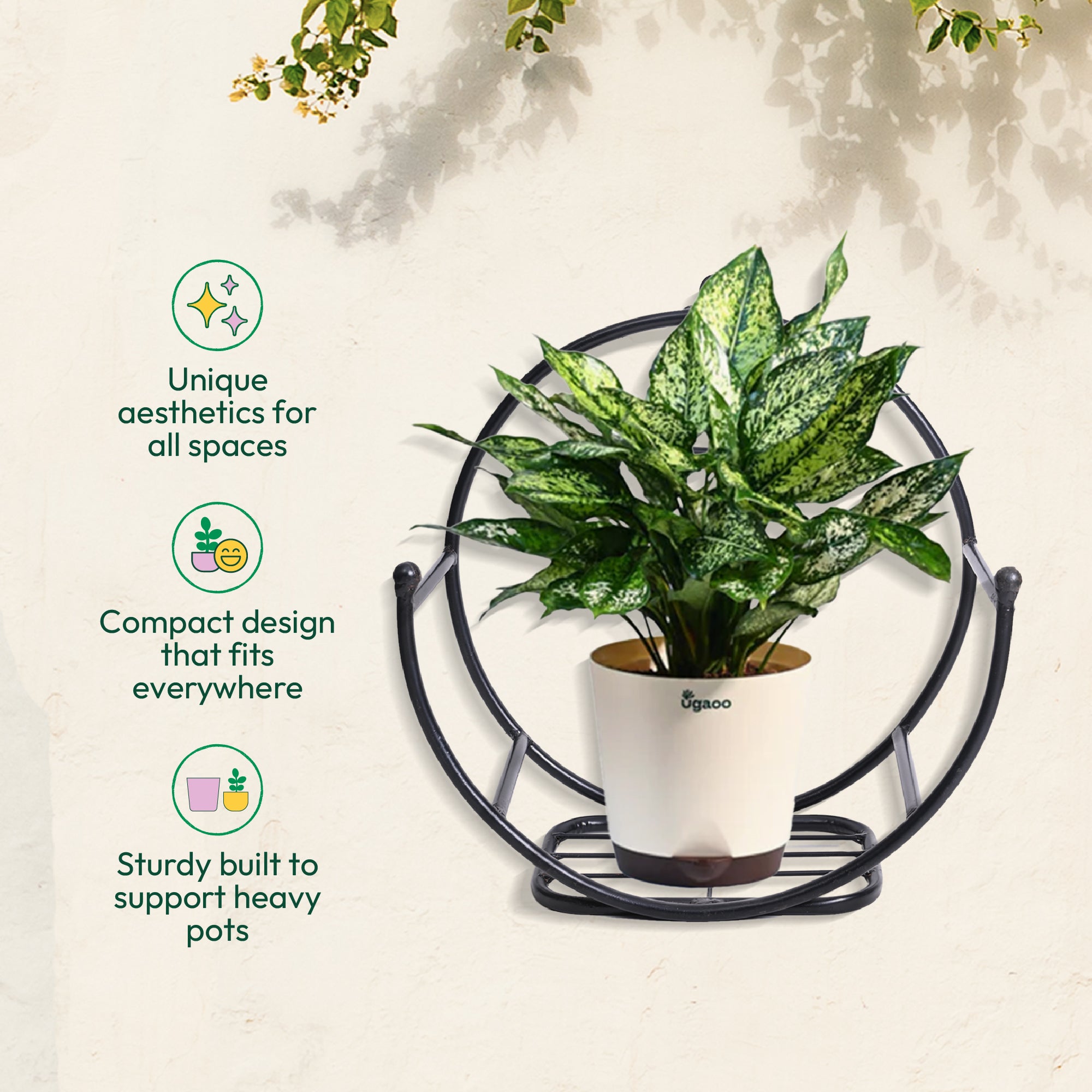 Concave Wall Mounting Planter