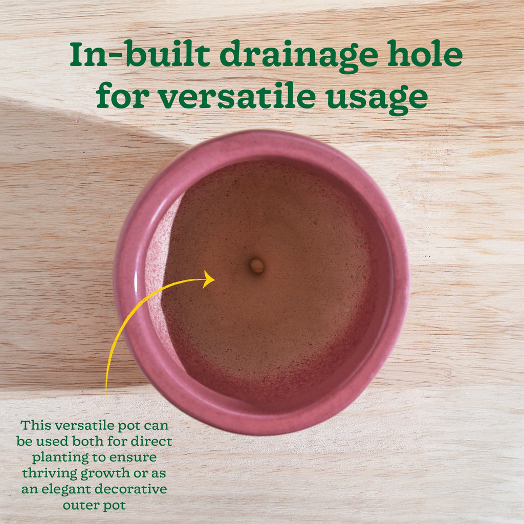 Nature's Hum Fat Ceramic Planter