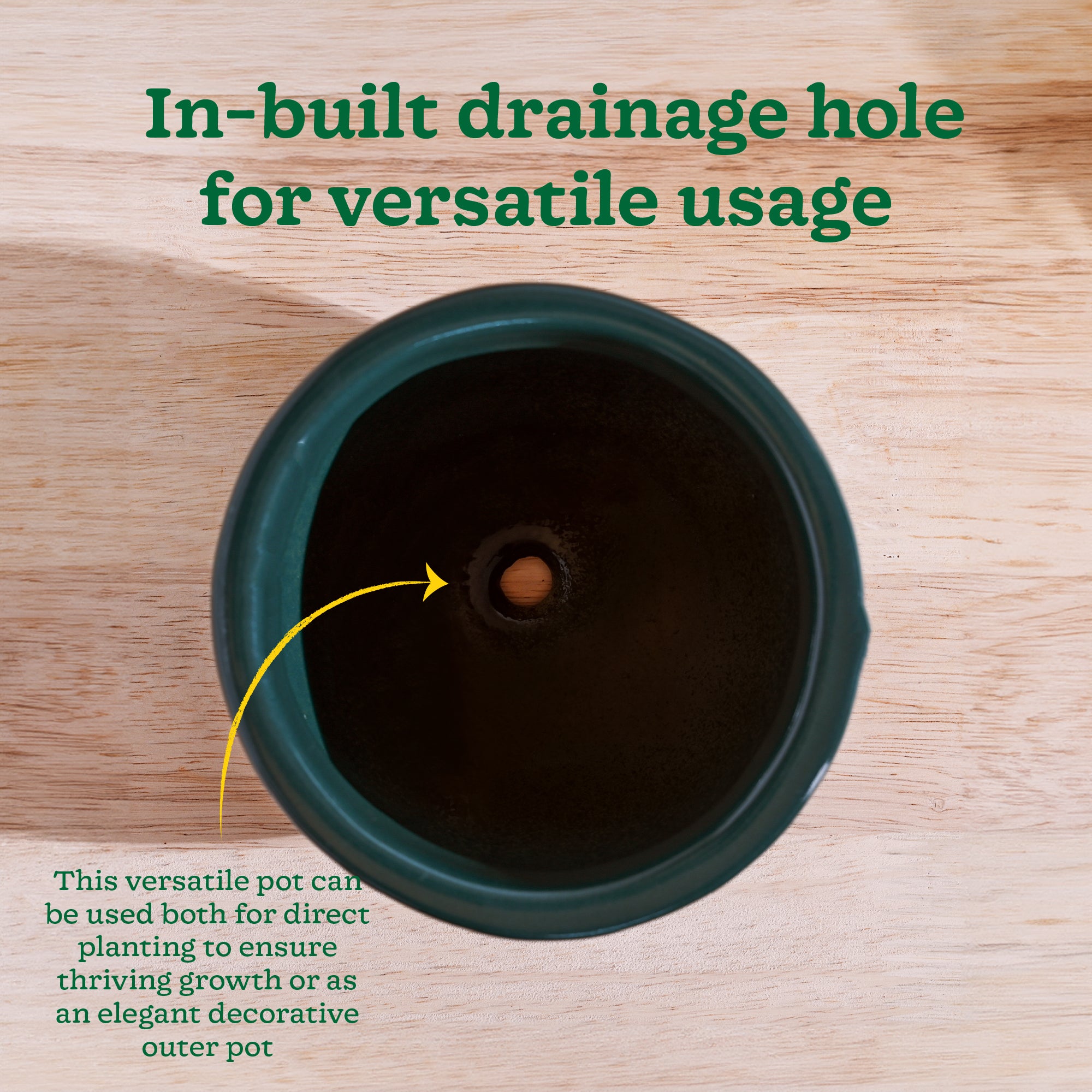 Nature's Hum Fat Ceramic Planter