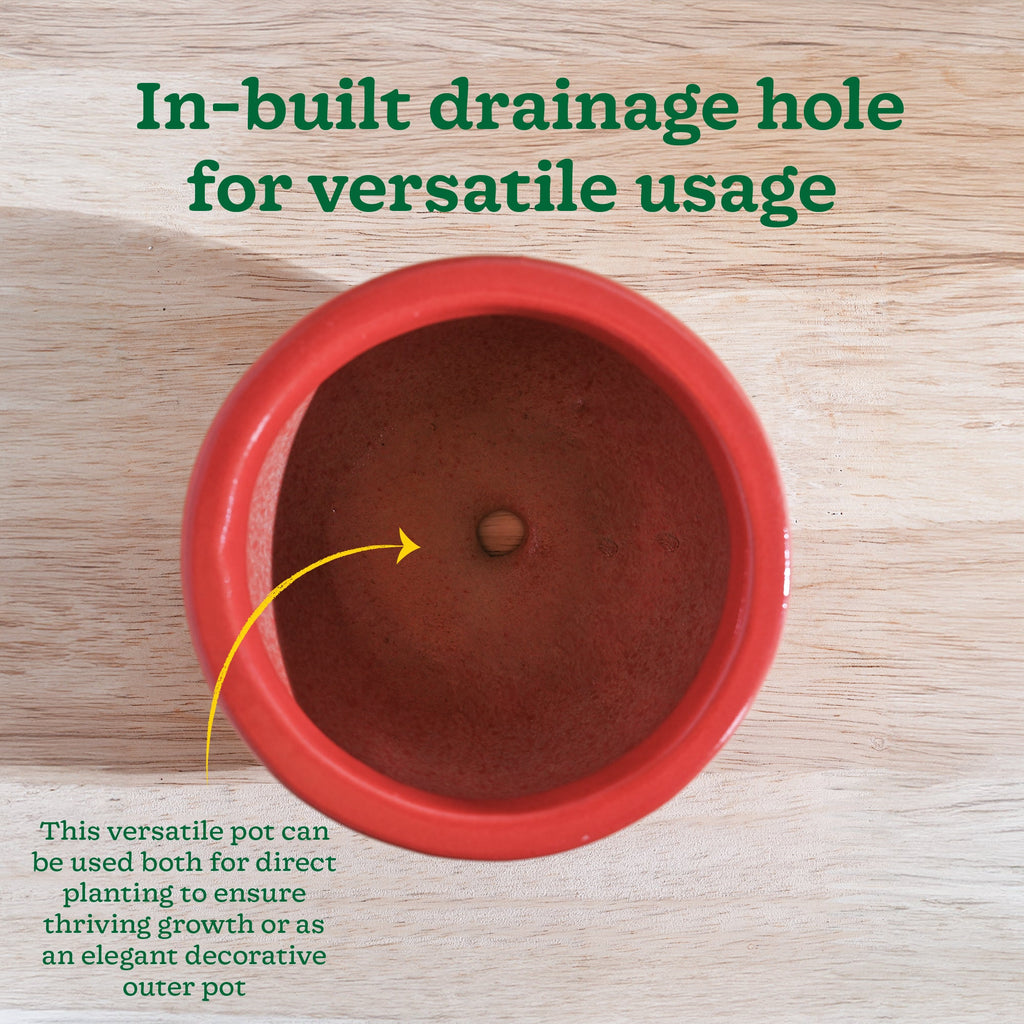 Nature's Hum Fat Ceramic Planter