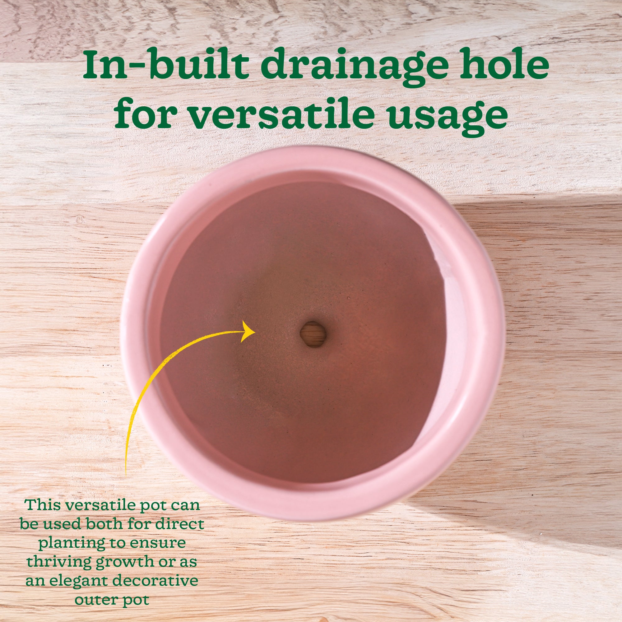 Nature's Hum Fat Ceramic Planter