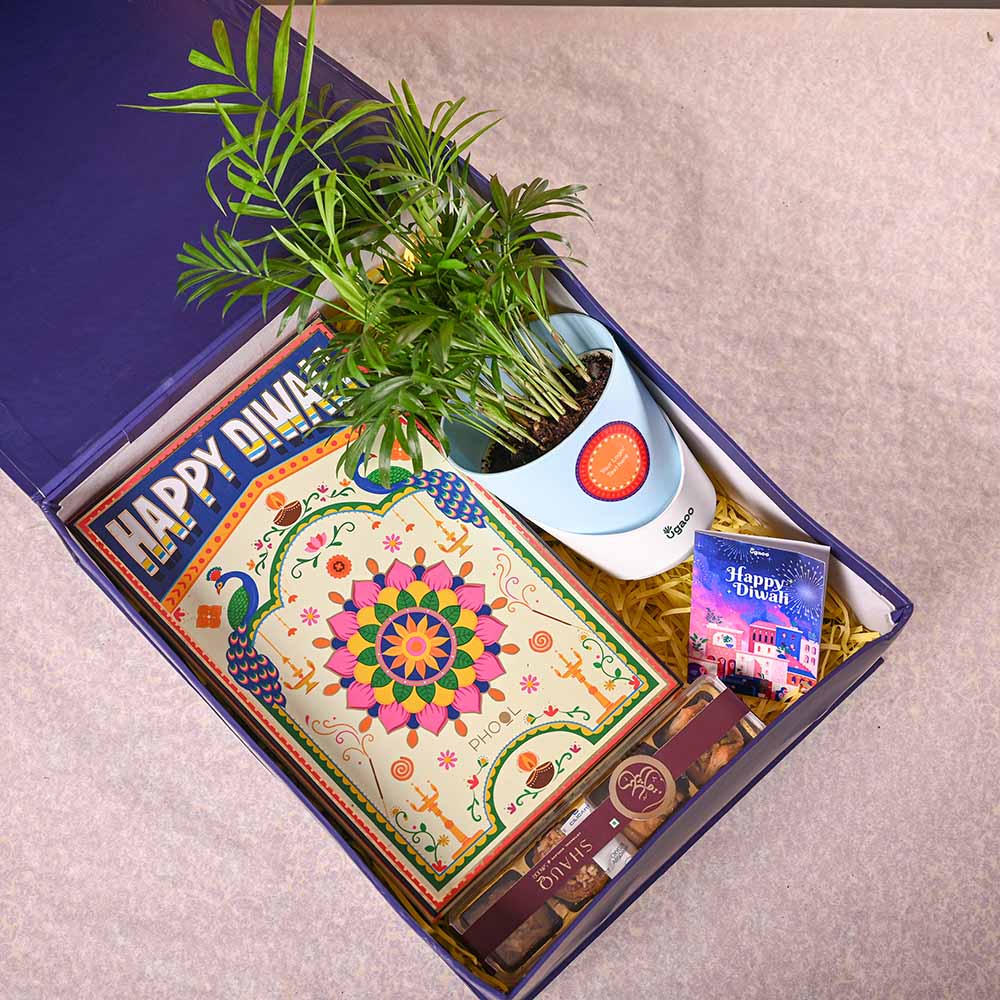 Bamboo Palm Plant & Phool Diwali Gift Hamper