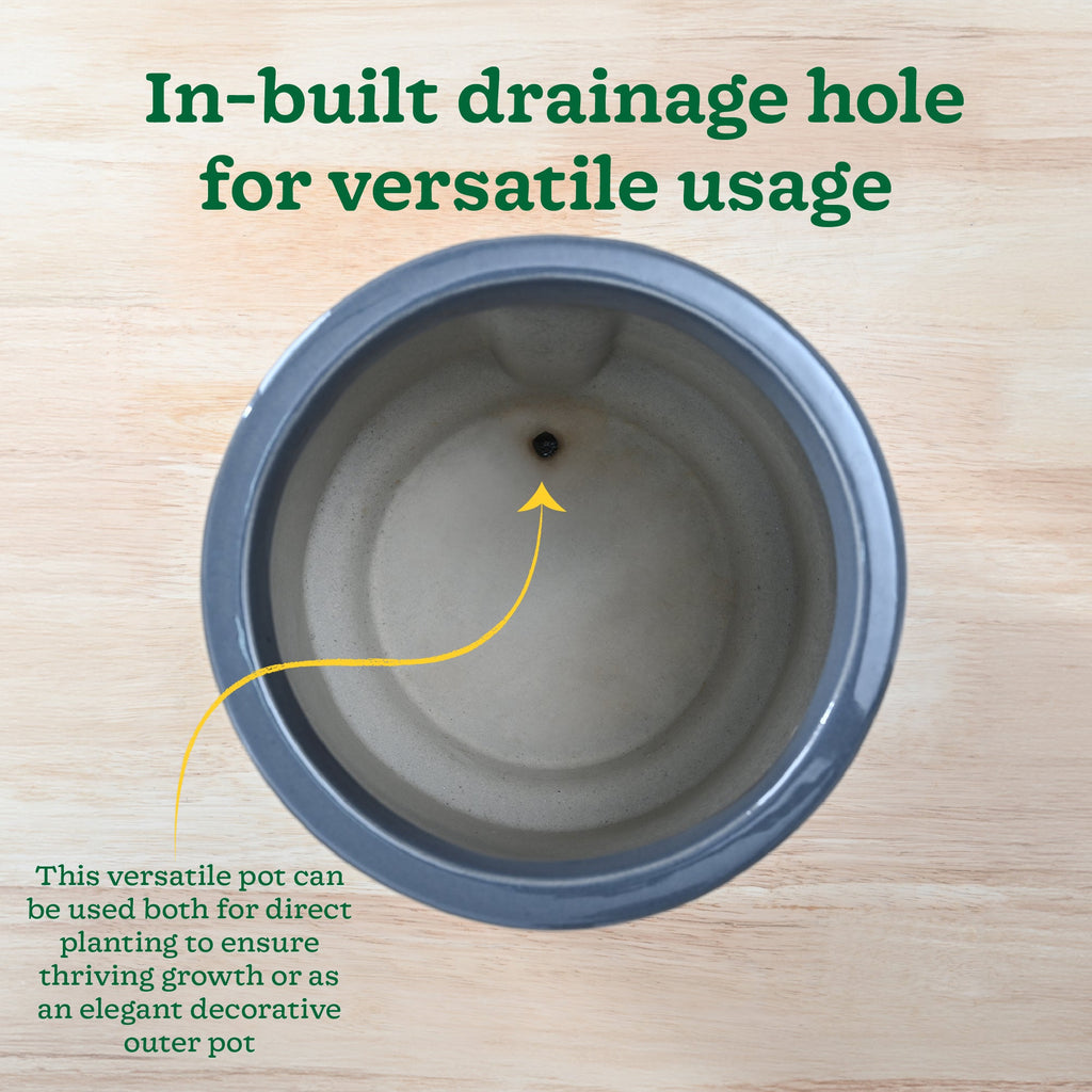 Moonlight Drama Ceramic Planter