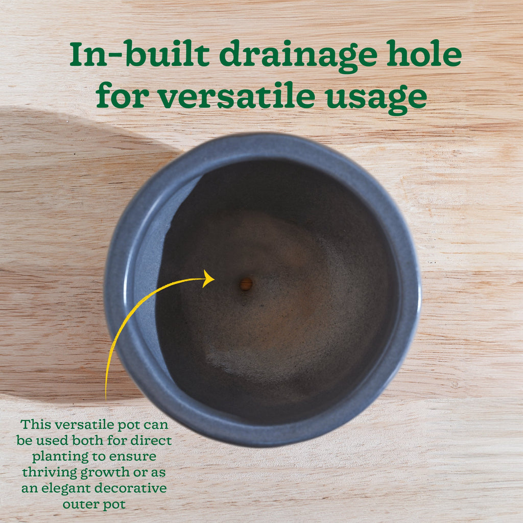 Nature's Hum Fat Ceramic Planter