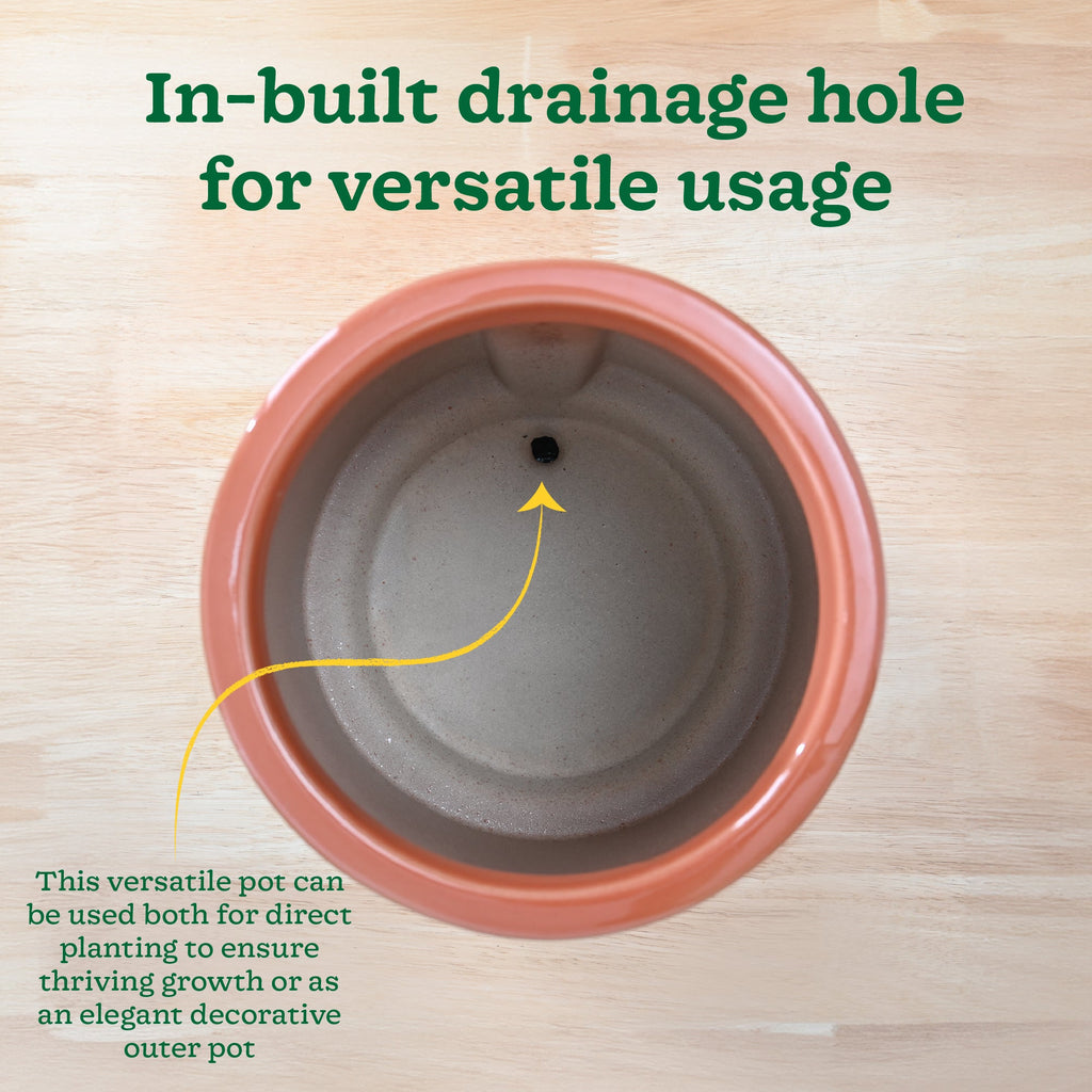 Moonlight Drama Ceramic Planter