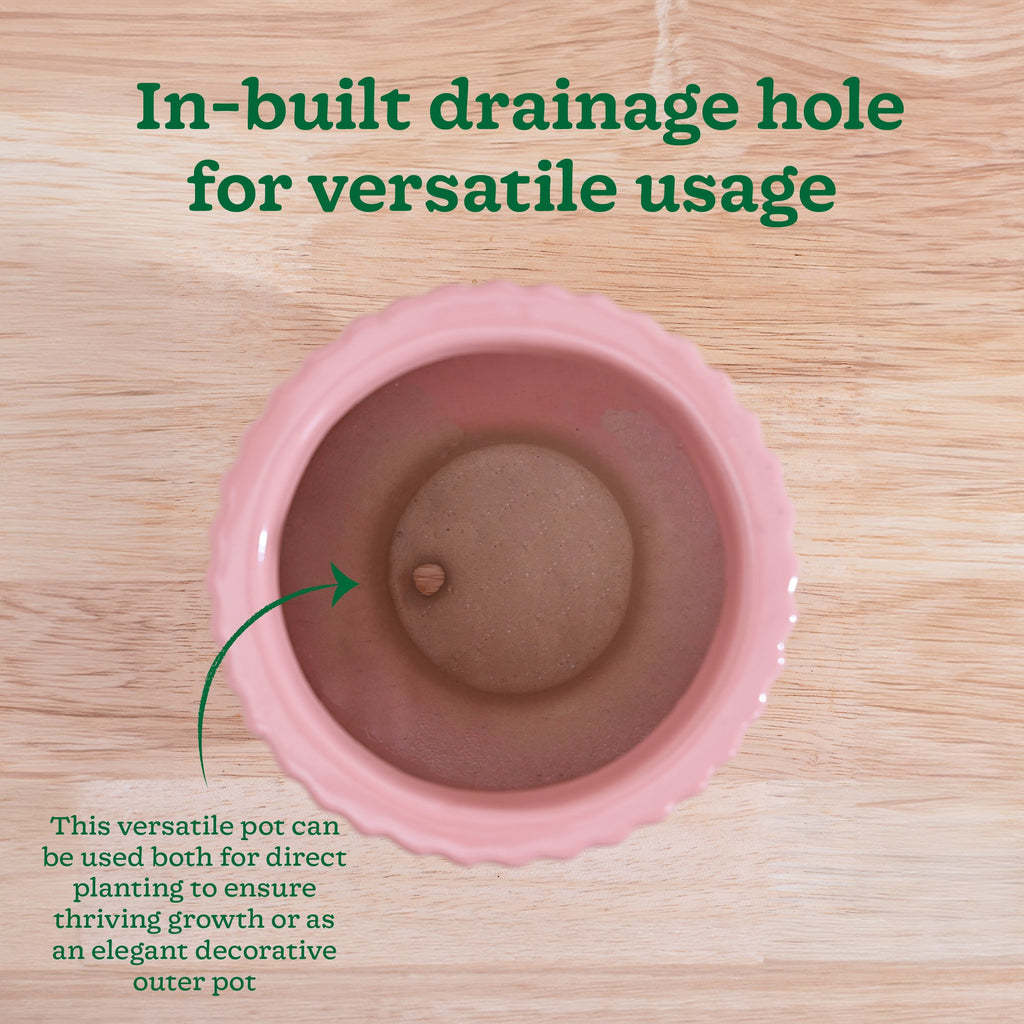 Forms of Love Ceramic Planter