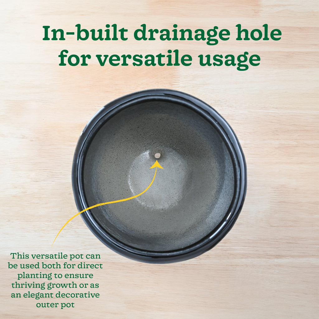 Echoing Eternity Ceramic Planter