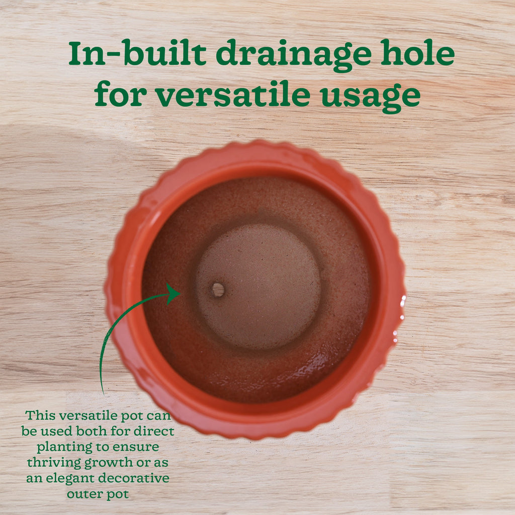 Forms of Love Ceramic Planter