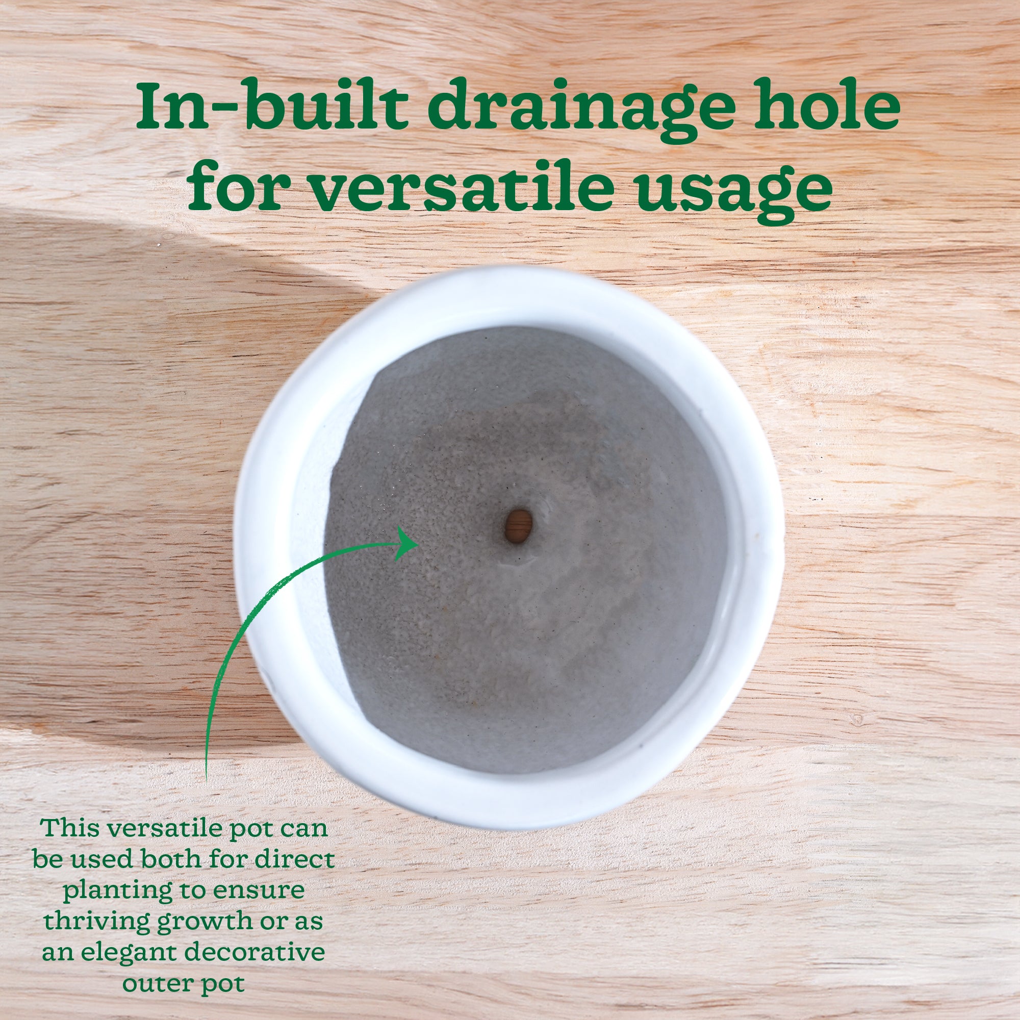 Nature's Hum Fat Ceramic Planter