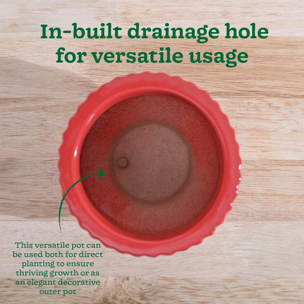 Forms of Love Ceramic Planter