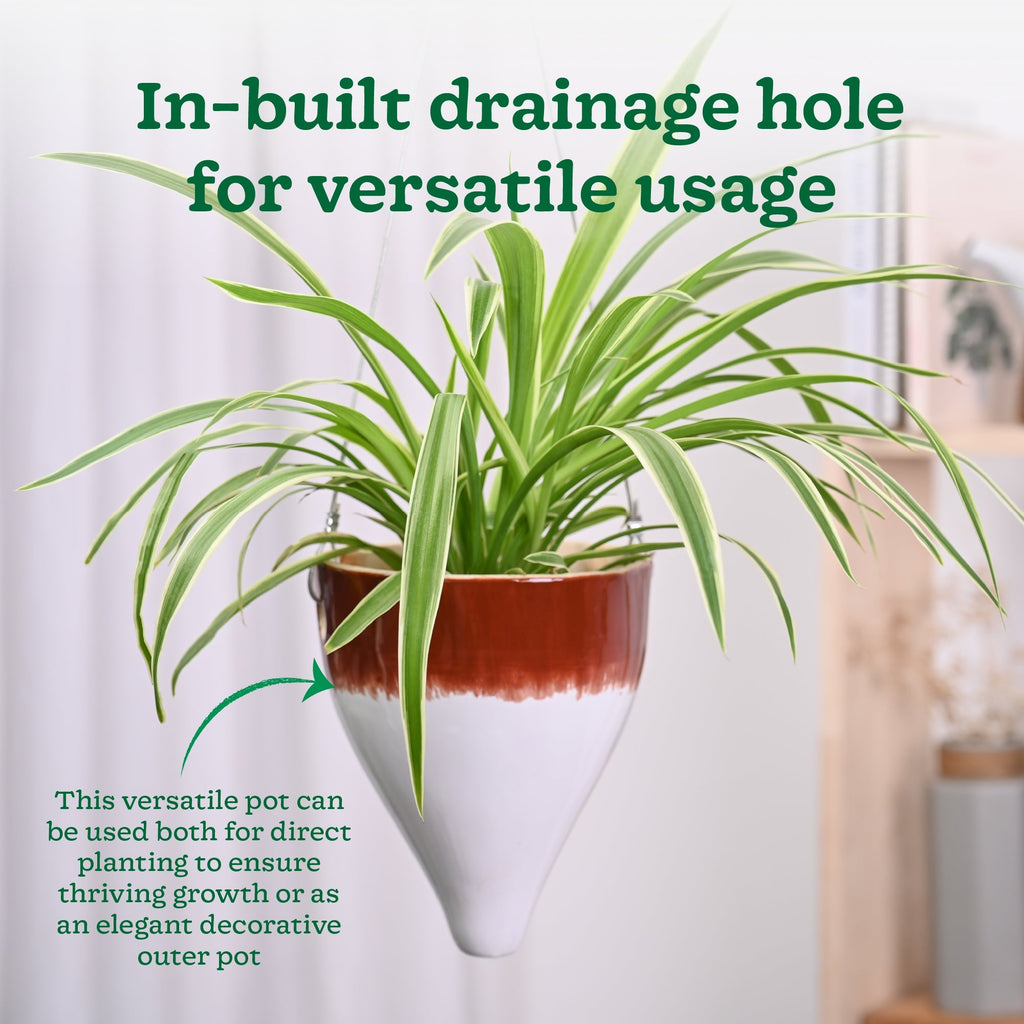 Ceramic Hanging Pot Cosmic Stone