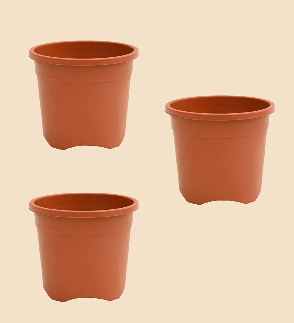 Gardening Pots - Terracotta Color