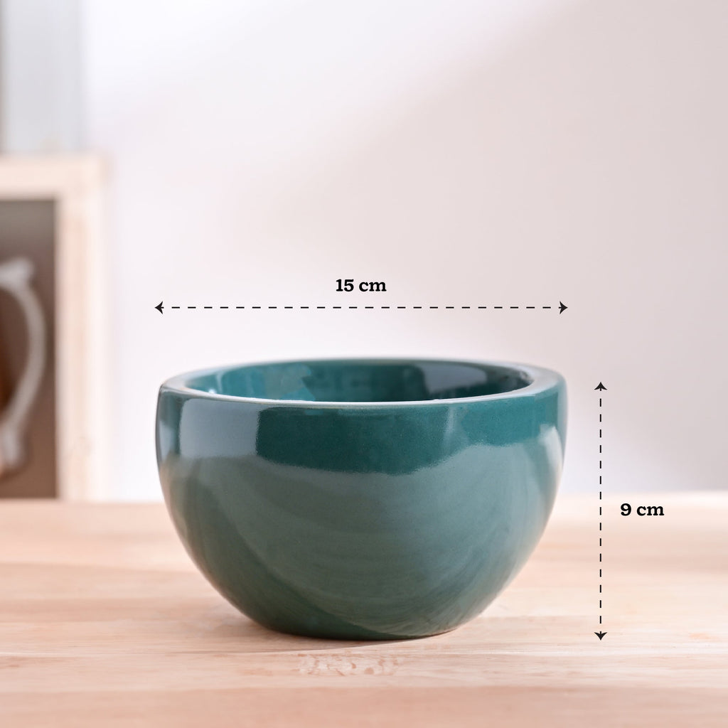 Nature's Hum Fat Ceramic Planter