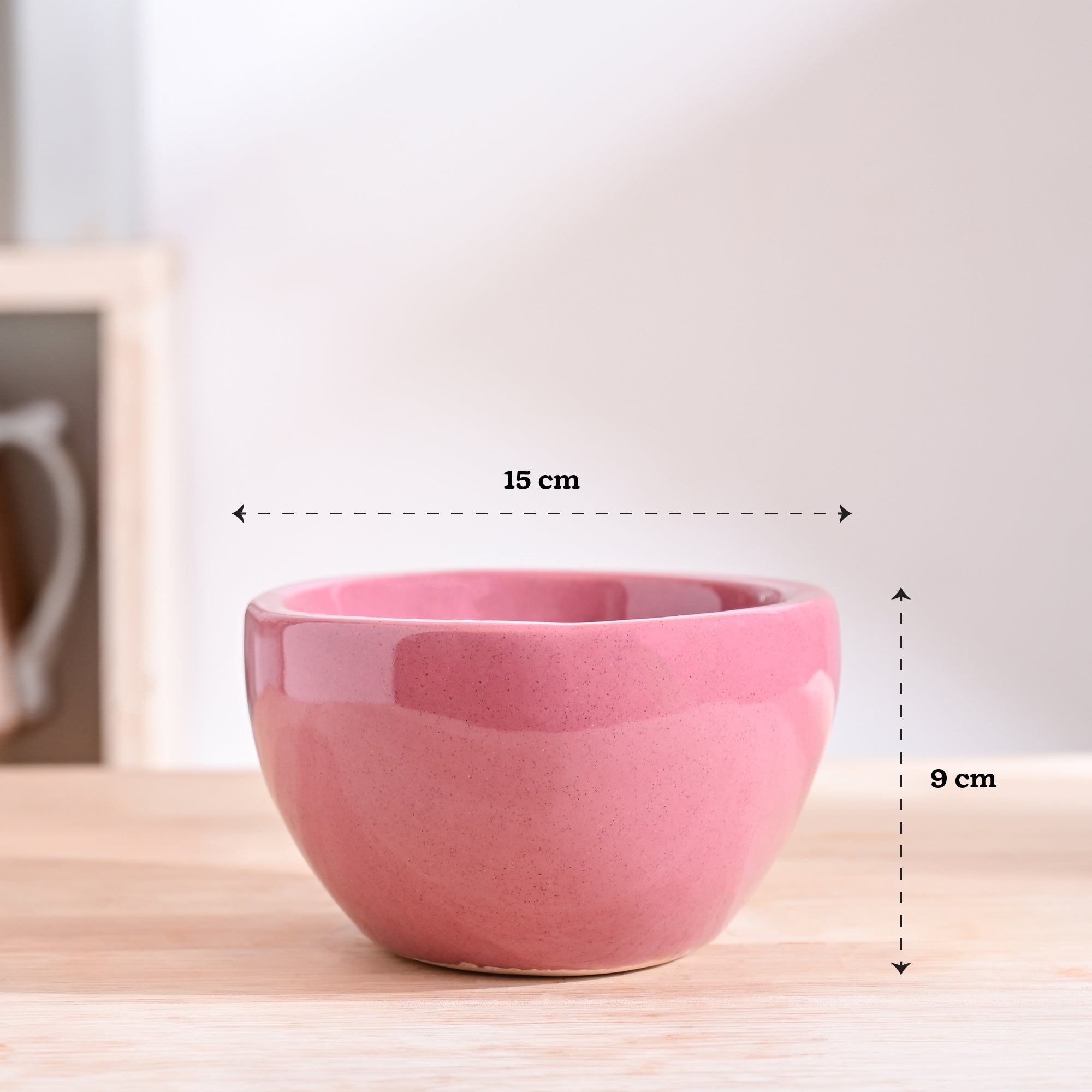 Nature's Hum Fat Ceramic Planter