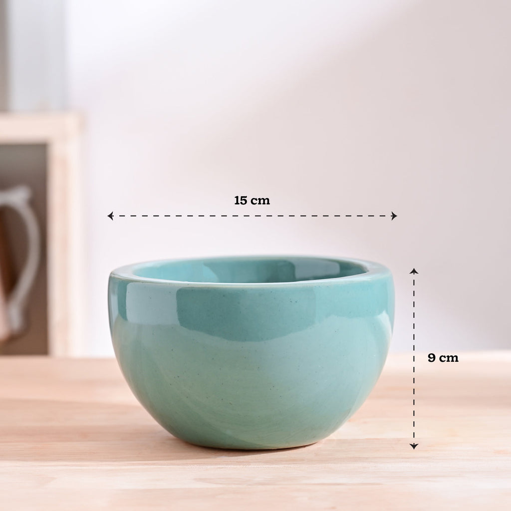 Nature's Hum Fat Ceramic Planter