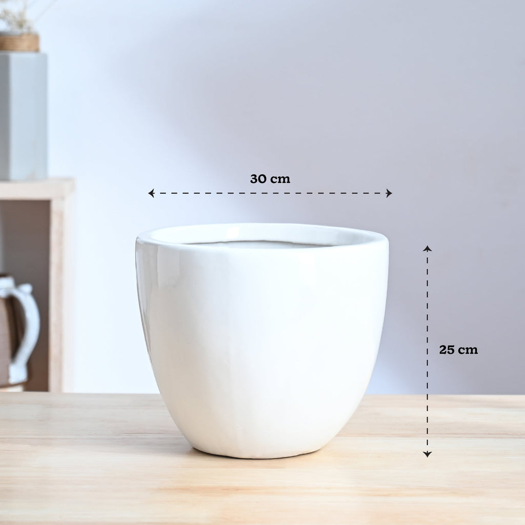 Echoing Eternity Ceramic Planter