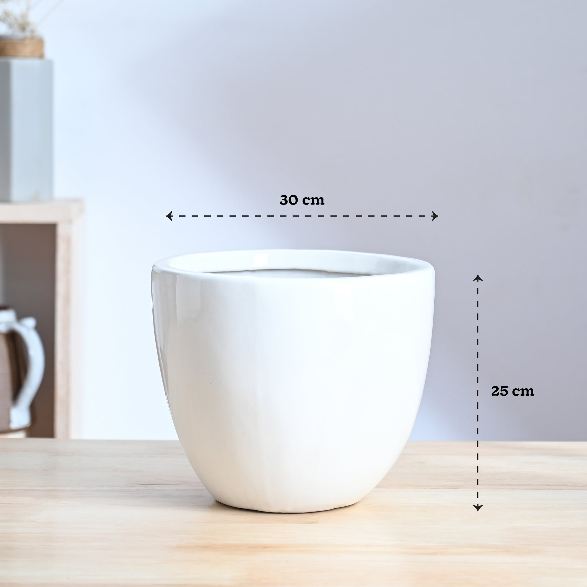 Echoing Eternity Ceramic Planter