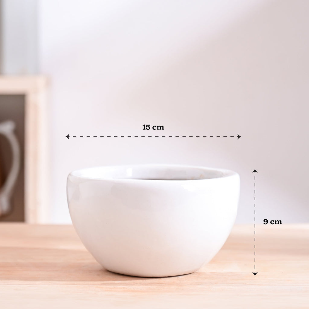 Nature's Hum Fat Ceramic Planter