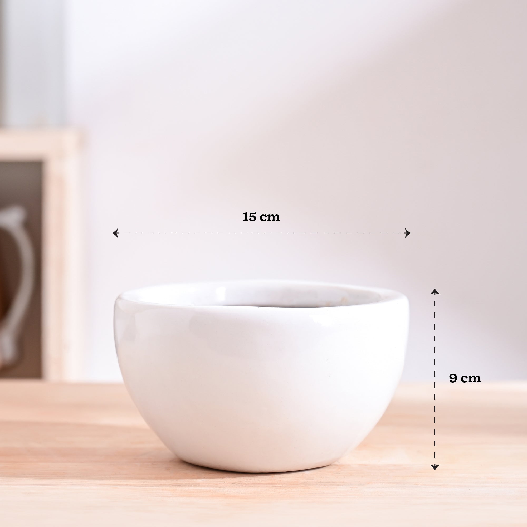 Nature's Hum Fat Ceramic Planter