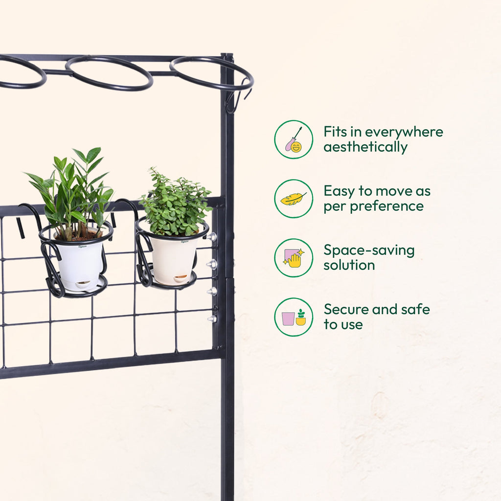 Hanging Plant Stands - Set of 2