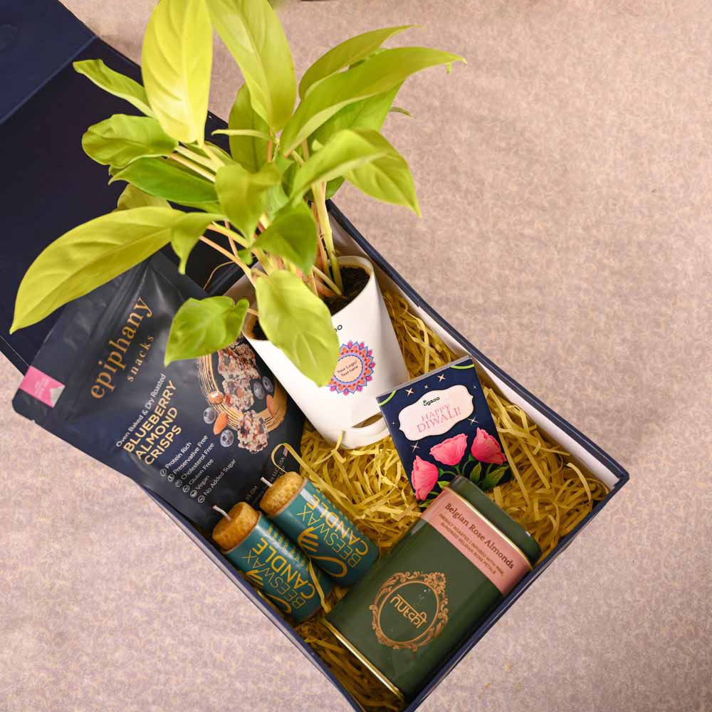 Philodendron Ceylon & Smoor Gift Hamper