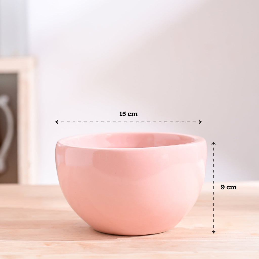 Nature's Hum Fat Ceramic Planter