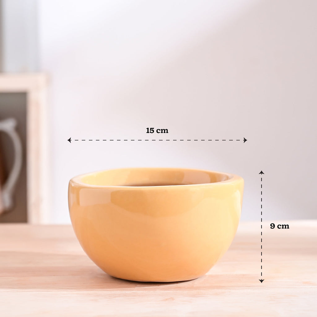 Nature's Hum Fat Ceramic Planter